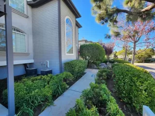 Photo #2: NDP2510416 Listing