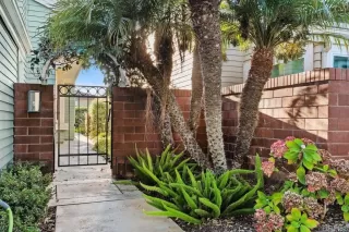 Photo #1: NDP2510548 Listing