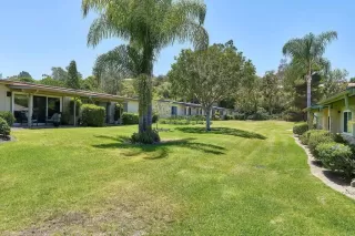 Photo #5: NDP2510573 Listing