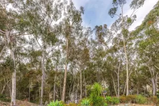 Photo #1: NDP2510786 Listing 