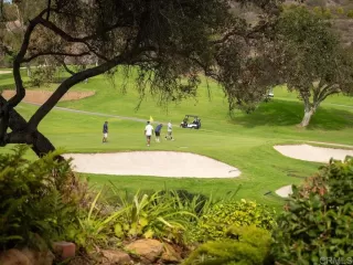 Photo #1: NDP2510842 Listing 