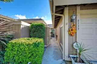 Photo #4: NDP2510986 Listing 