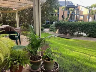 Photo #2: NDP2510995 Listing 