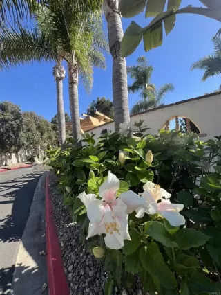 Photo #1: NDP2511073 Listing