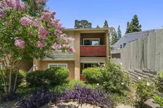 Photo #2: NDP2511468 Listing 