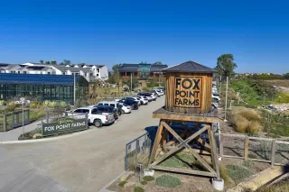 Photo #1: NDP2511479 Listing