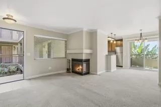 Photo #1: NDP2600131 Listing 