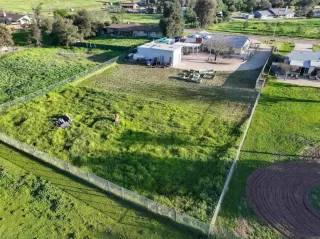 Photo #4: NDP2600163 Listing