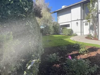 Photo #1: NDP2600505 Listing 