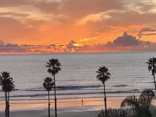 Photo #1: NDP2600697 Listing 