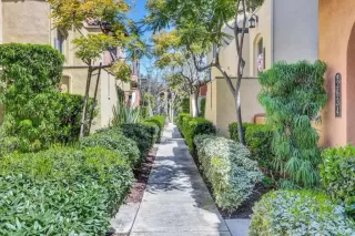 Photo #4: NDP2601053 Listing 