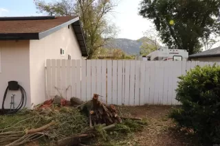 Photo #2: NDP2601160 Listing 