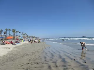 Photo #4: NDP2601249 Listing 