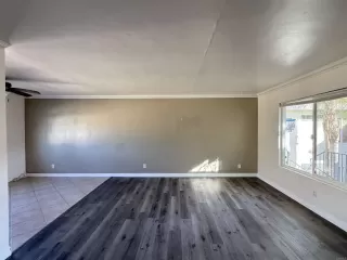 Photo #5: NDP2601298 Listing 