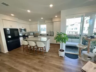 Photo #2: NDP2601462 Listing 