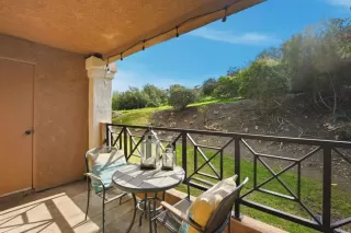 Photo #1: NDP2601609 Listing 