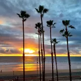 Primary Photo for MLS#: NDP2601702