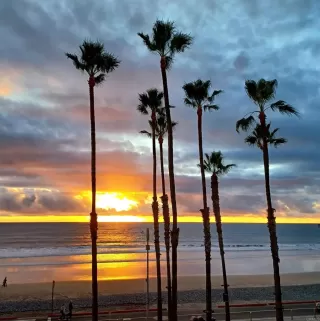 Primary Photo for MLS#: NDP2601702