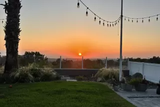 Photo #1: NDP2601856 Listing 