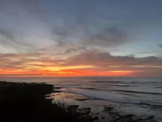 Photo #1: NDP2602022 Listing 