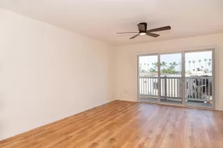 Photo #1: NDP2602081 Listing 