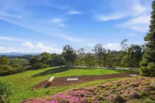 Photo #4: NDP2602275 Listing 