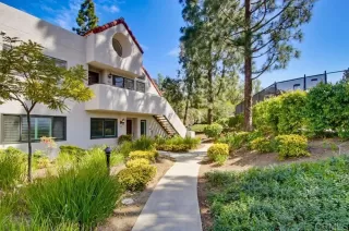 Photo #2: NDP2602299 Listing 