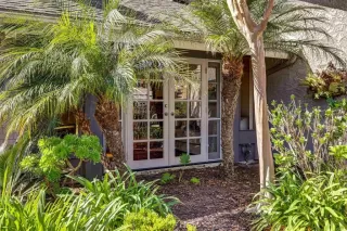 Photo #1: NDP2602431 Listing 