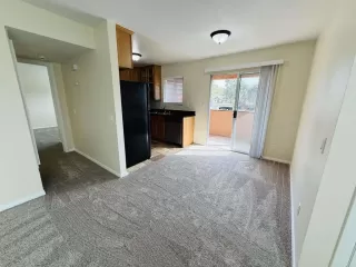 Photo #1: NDP2602556 Listing 