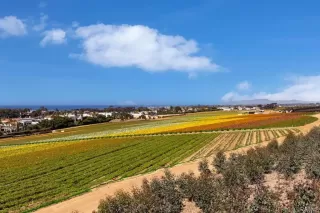 Photo #3: NDP2602562 Listing 