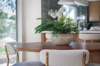 Photo #5: NDP2602582 Listing 