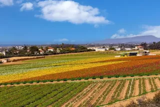 Photo #4: NDP2602715 Listing 