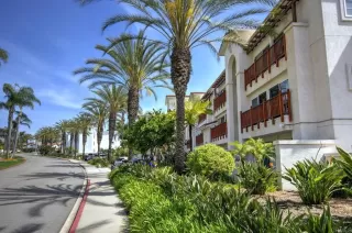 Photo #1: NDP2602751 Listing 