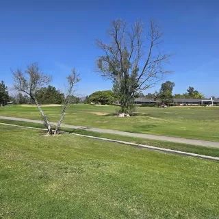 Photo #6: NDP2602792 Listing 