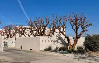 Photo #1: NDP2603045 Listing