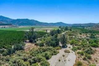 Photo #2: NDP2603120 Listing 