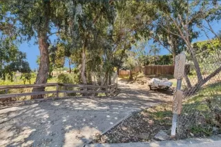 Photo #2: NDP2603128 Listing 