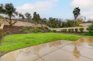 Photo #1: NDP2603328 Listing 