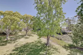 Photo #3: NDP2603379 Listing 