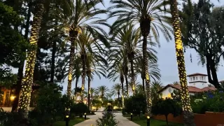 Photo #3: NDP2603639 Listing 