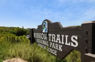 Photo #1: NDP2603756 Listing 