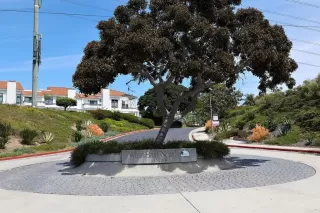 Photo #4: NDP2603883 Listing 