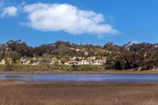 Photo #3: NDP2604112 Listing 