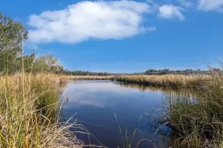 Photo #4: NDP2604112 Listing 