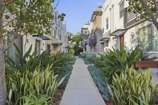 Photo #1: NDP2604114 Listing 