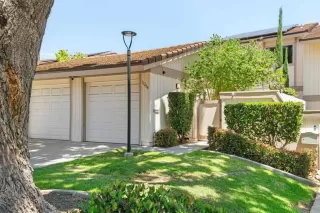 Photo #1: NDP2604215 Listing 