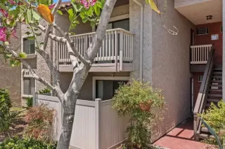 Photo #1: NDP2604245 Listing