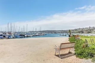 Photo #1: NDP2604430 Listing 