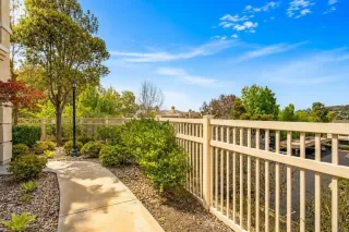 Photo #1: NDP2605078 Listing