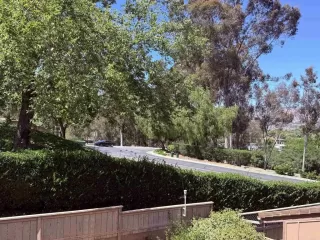 Photo #2: NDP2605303 Listing 